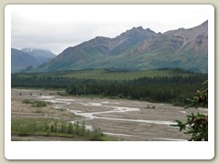 Denali Park
