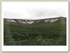 Denali Park