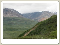 Denali Park
