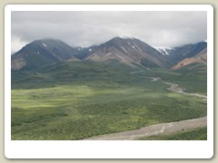 Denali Park