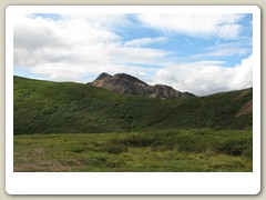 Denali Park