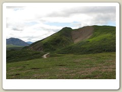 Denali Park