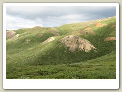 Denali Park