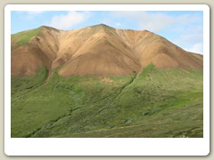 Denali Park