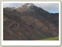 Denali Park