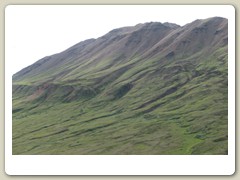 Denali Park