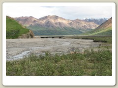 Denali Park