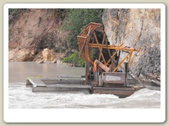 Salmon cage