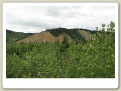 Fairbanks to Denali