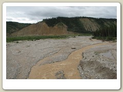 Fairbanks to Denali
