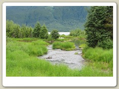 Mendenhall Glacier Park