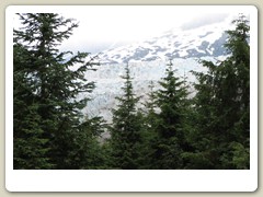 Mendenhall Glacier Park