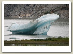 Mendenhall Glacier Park