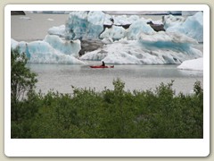 Mendenhall Glacier Park