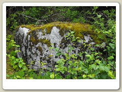 Mendenhall Glacier Park