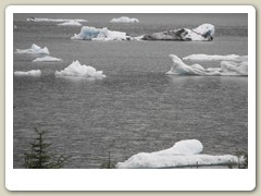 Picture taken up above the visitor's center