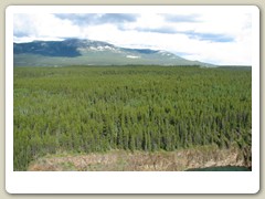 On the road through the mountains