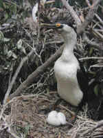 museum-02.jpg (59267 bytes)