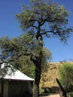 centre-08.jpg (53815 bytes)