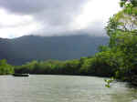 cooper_creek-02.jpg (67636 bytes)