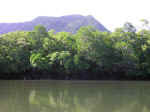 cooper_creek-16.jpg (81515 bytes)