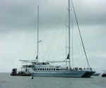 wavedancer04.jpg (44979 bytes)
