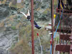 bungy-09.jpg (88562 bytes)