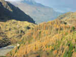 shotover24.jpg (79603 bytes)