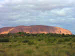 uluru-19.jpg (42910 bytes)