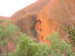 uluru-base-30.jpg (81405 bytes)