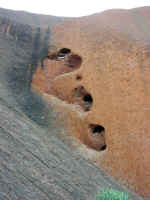 uluru-base-34.jpg (47449 bytes)