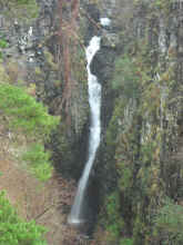 P4110267.jpg (57522 bytes)