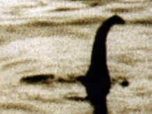Photo taken by London surgeon published in the Daily Mail