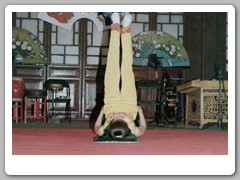 Chinese Opera & Acrobats