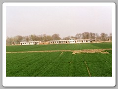 Local farm - bus ride from the airport to Chungdu city