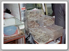 A large market area only a few blocks from our hotel