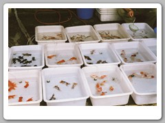 A large market area only a few blocks from our hotel