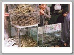 A large market area only a few blocks from our hotel