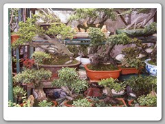 A large market area only a few blocks from our hotel