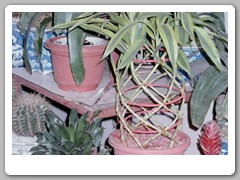 A large market area only a few blocks from our hotel