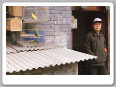 Walking down a local street