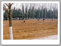 The grounds of the park