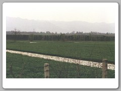 Pictures from the tour bus