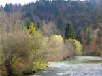 lake03.JPG (118041 bytes)