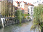 river05.JPG (119694 bytes)