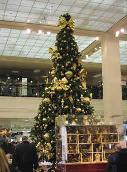 Pb260031.jpg (71508 bytes)