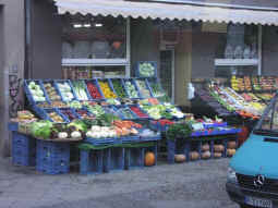 Pb270048.jpg (65989 bytes)