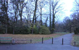 Pb270064.jpg (155198 bytes)