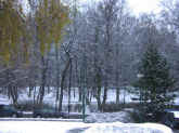 Pc060324.jpg (123892 bytes)