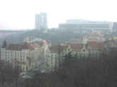 Pc100176.jpg (49560 bytes)